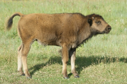 DSC02414.ARW