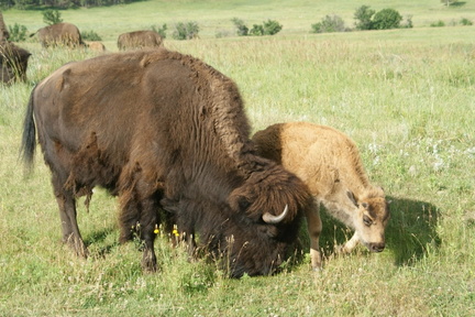 DSC02418.ARW