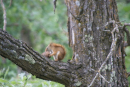 DSC02508.ARW