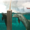 DSC01408.ARW