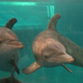 DSC01410.ARW