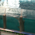 DSC01411.ARW