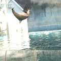 DSC01412.ARW