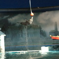 DSC01414.ARW