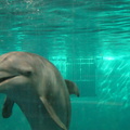 DSC01415.ARW