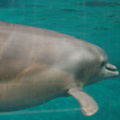 DSC01416.ARW