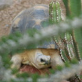DSC01420.ARW
