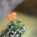 DSC01421.ARW