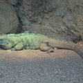 DSC01428.ARW
