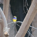 DSC01429.ARW