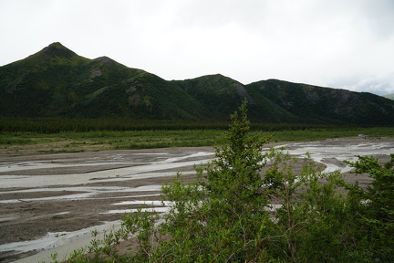DSC01993