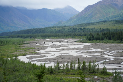 DSC01991