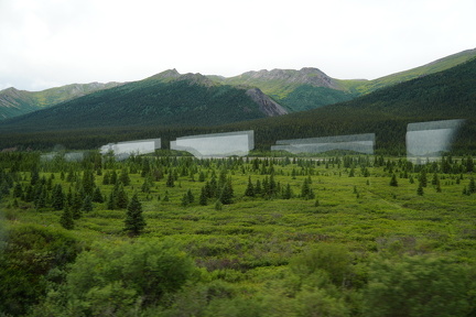 DSC01989