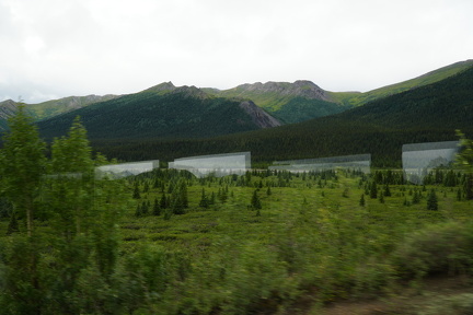 DSC01988