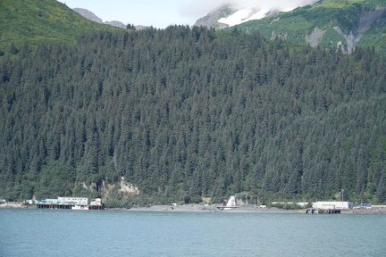 DSC02374