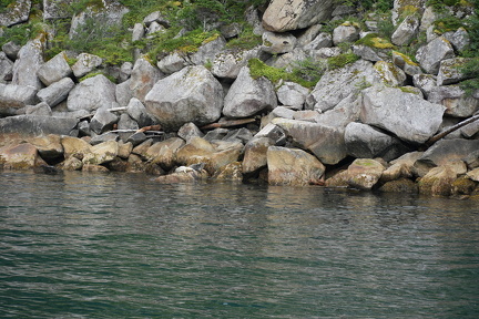 DSC02765