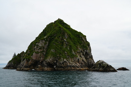 DSC02763