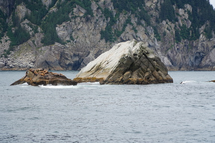 DSC02751