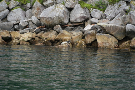 DSC02766